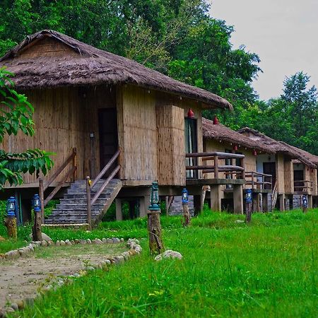 Temple Tiger Green Jungle Resort Kawasoti Rum bild