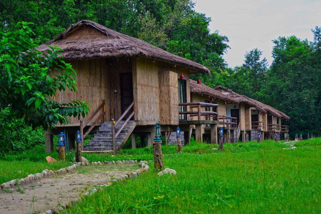 Temple Tiger Green Jungle Resort Kawasoti Rum bild