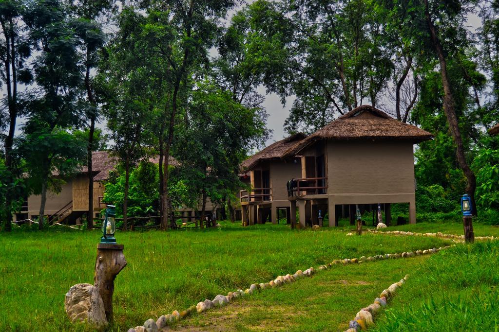 Temple Tiger Green Jungle Resort Kawasoti Exteriör bild