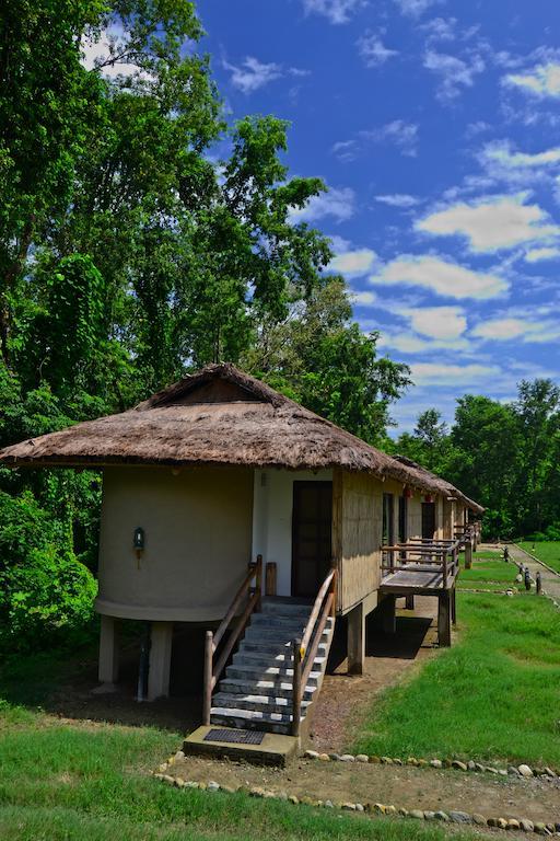Temple Tiger Green Jungle Resort Kawasoti Rum bild